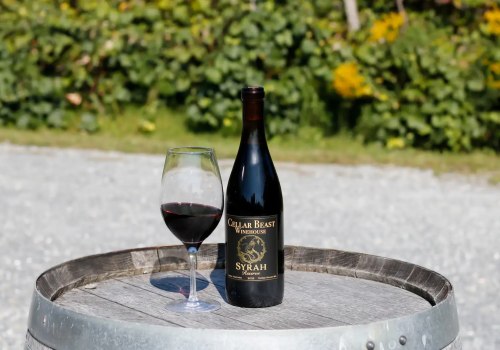 World-Class Flavor Uncorked: What Does Syrah Wine Taste Like?
